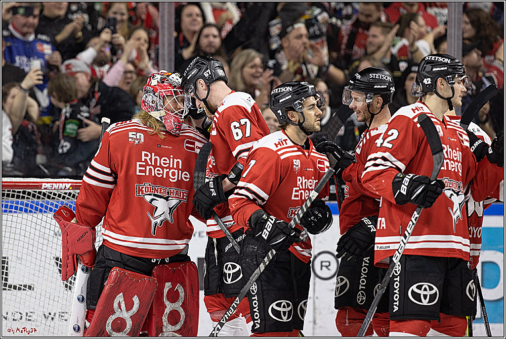 PENNY DEL;  Koelner Haie - Duesseldorfer EG; Koeln, 02.01.2023